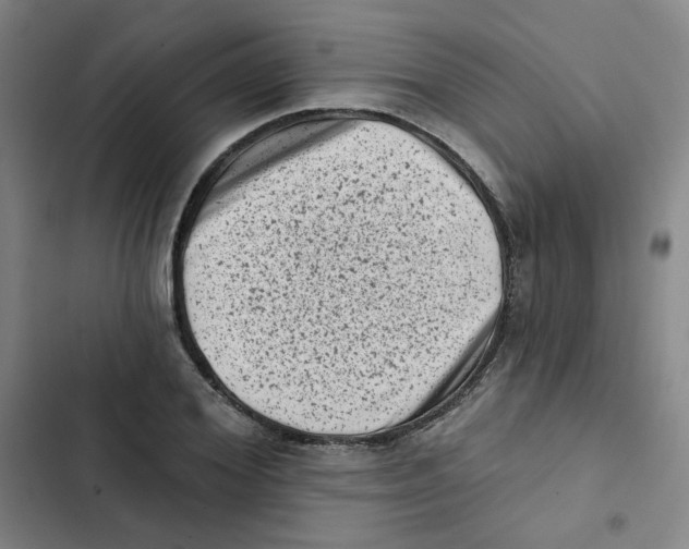 X0000102830980200809151035