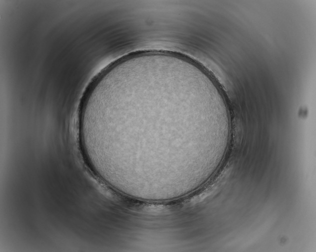 X0000102830982200809151035