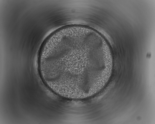 X0000102830983200809151035