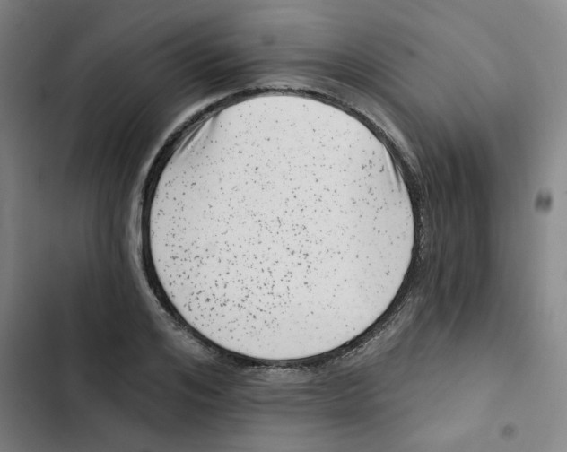 X0000102830984200809151035