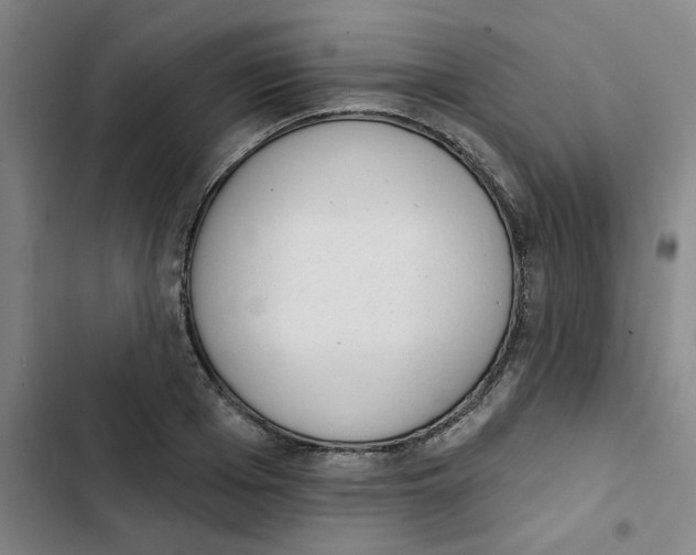 X0000102830985200809151035