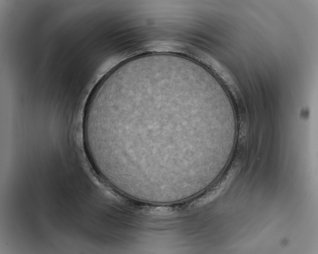 X0000102830986200809151035