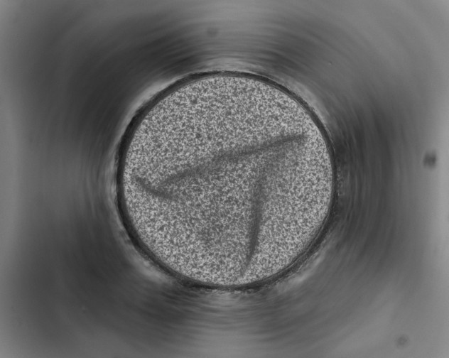 X0000102830987200809151035