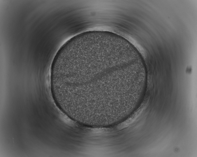 X0000102830988200809151035