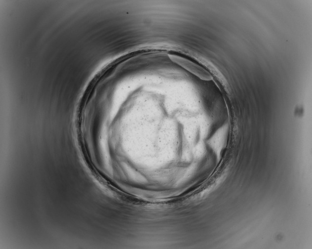 X0000102830989200809151035