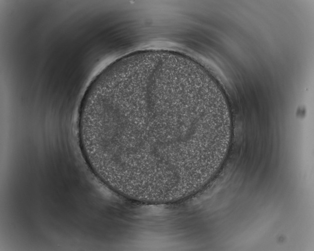 X0000102830990200809151035