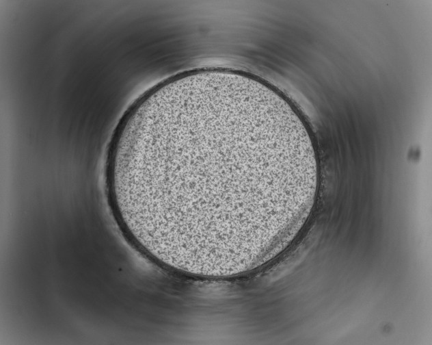 X0000102830991200809151035