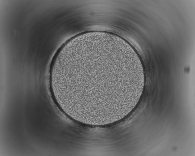 X0000102830992200809151035