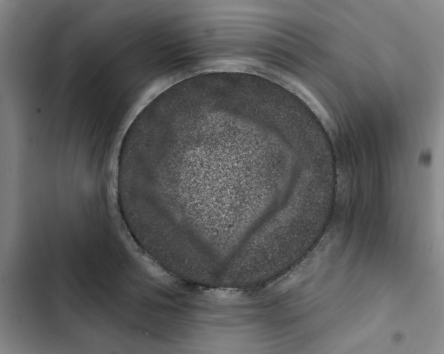 X0000102830994200809151035