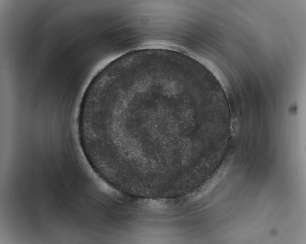 X0000102830995200809151035