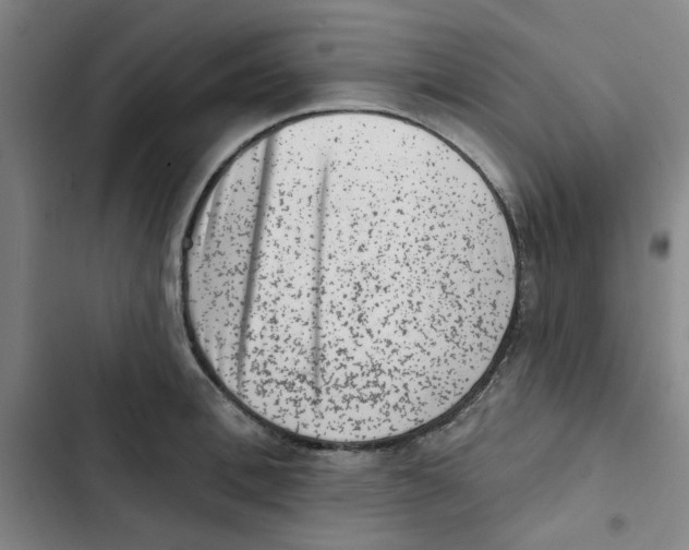 X0000102830996200809151035