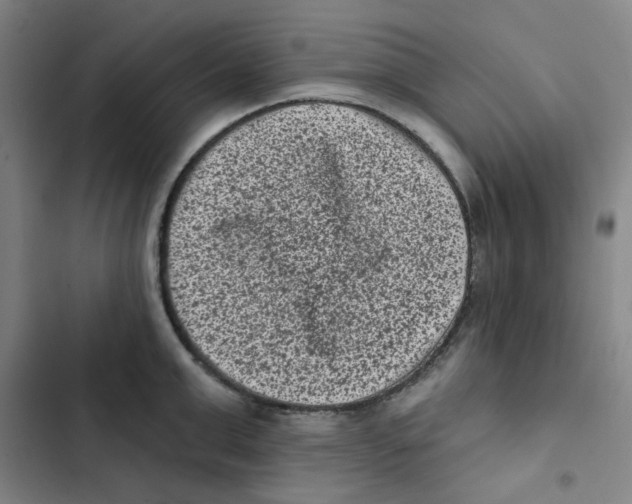 X0000102830999200809151035