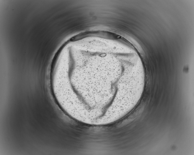 X0000102831000200809151035