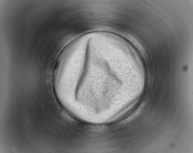 X0000102831001200809151035