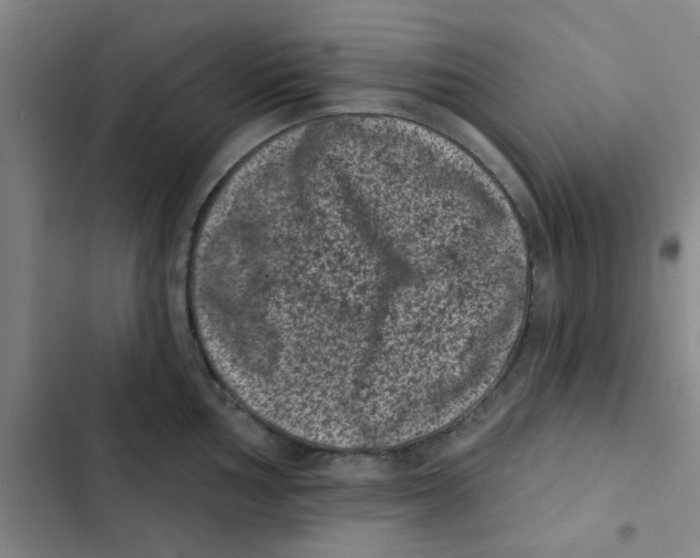 X0000102831002200809151035
