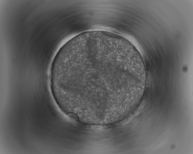 X0000102831003200809151035