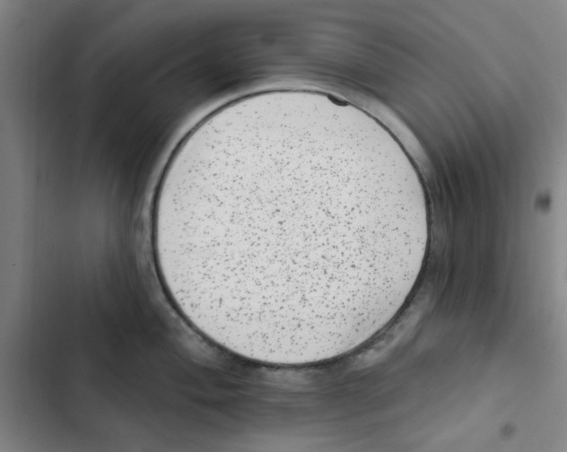 X0000102831004200809151035