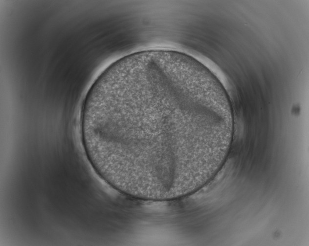 X0000102831006200809151035