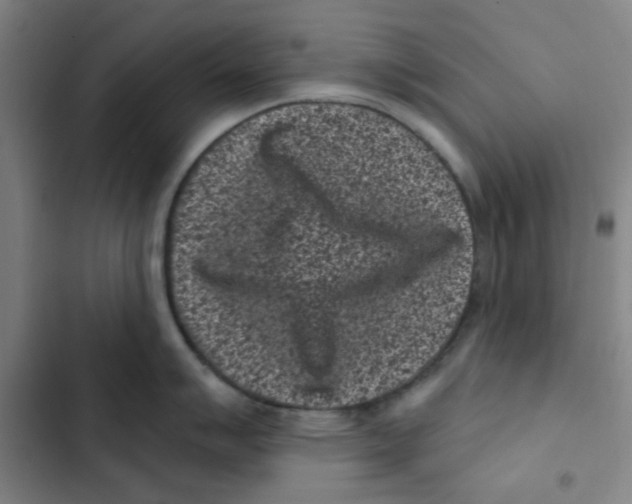 X0000102831007200809151035