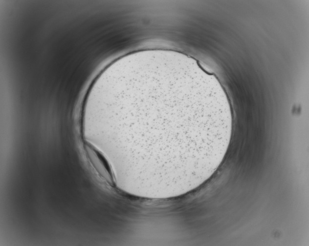 X0000102831008200809151035