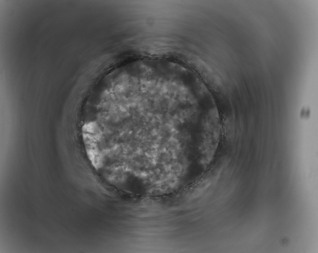 X0000102831009200809151034