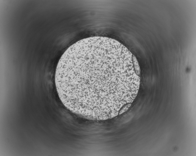 X0000102831010200809151034