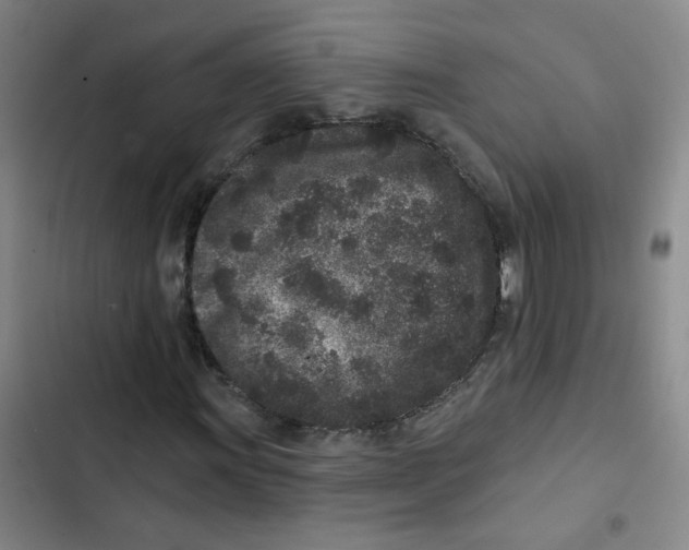 X0000102831011200809151034