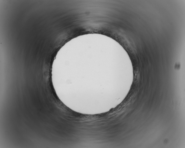 X0000102831012200809151034