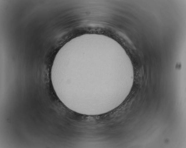 X0000102831013200809151034