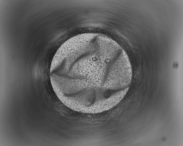 X0000102831014200809151034