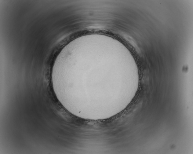 X0000102831015200809151034