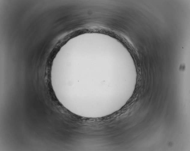 X0000102831016200809151034