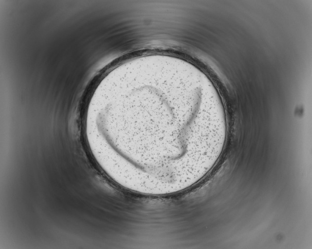 X0000102831018200809151034