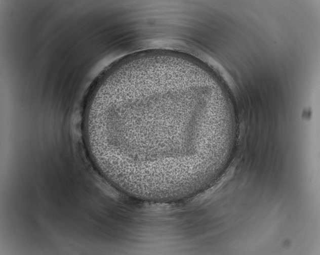 X0000102831019200809151034