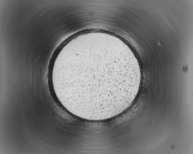 X0000102831020200809151034