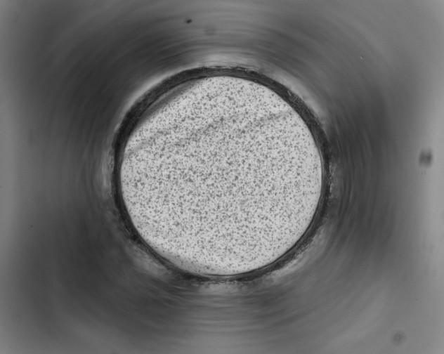 X0000102831021200809151034