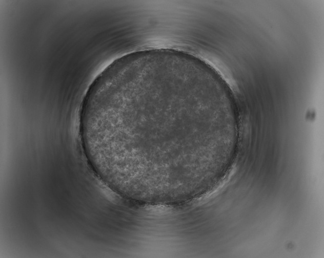 X0000102831023200809151035