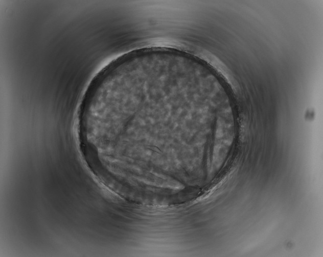 X0000102831024200809151035
