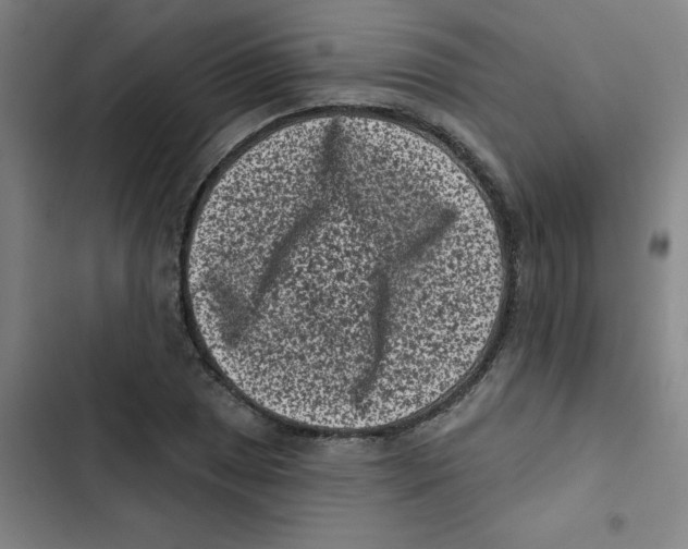X0000102831025200809151035