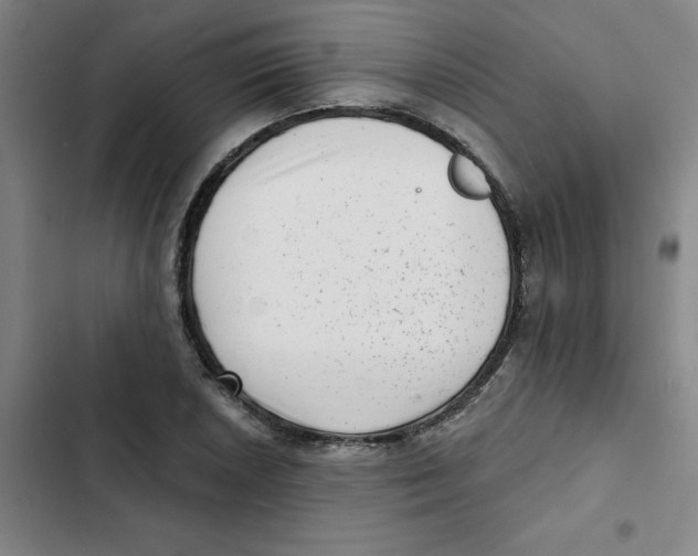 X0000102831026200809151035