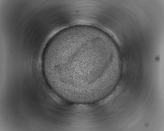 X0000102831027200809151035