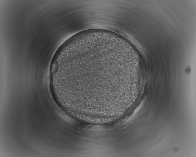 X0000102831028200809151035