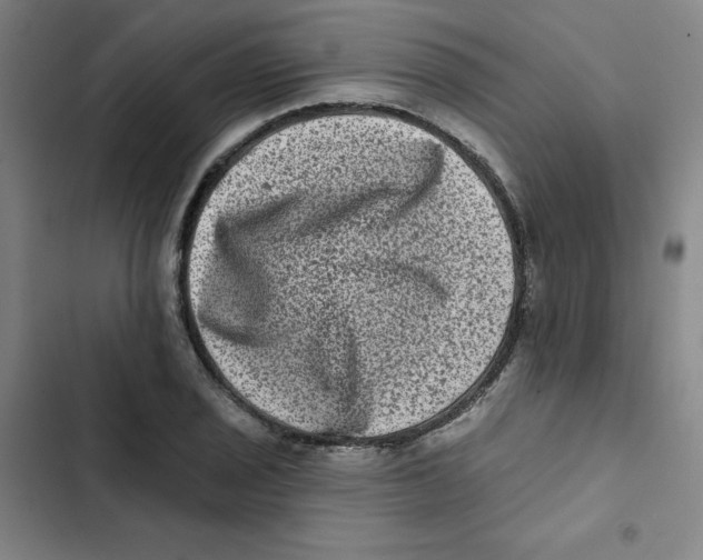X0000102831029200809151035