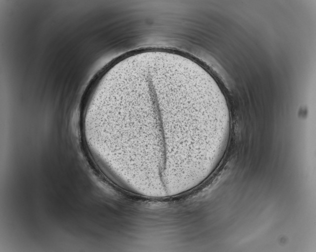 X0000102831030200809151035