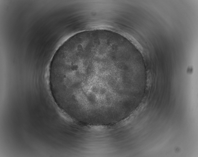 X0000102831031200809151035
