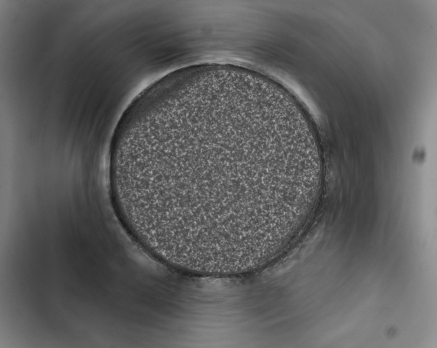 X0000102831032200809151035