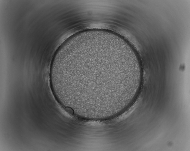 X0000102831033200809151035