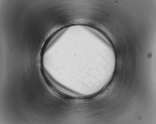 X0000102831034200809151035