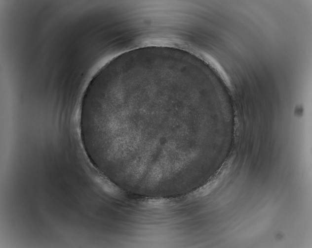 X0000102831035200809151035