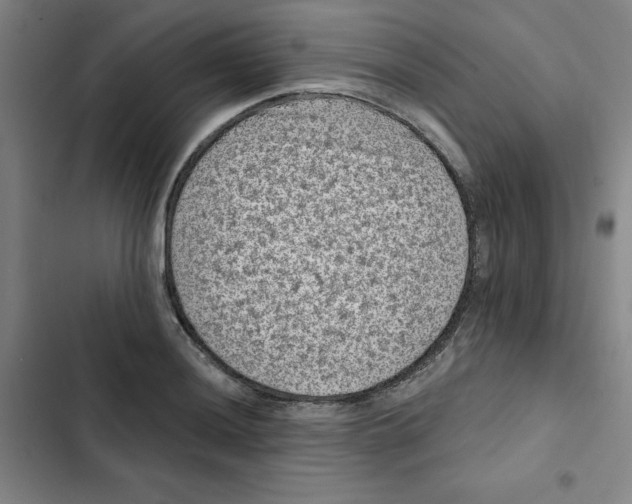 X0000102831036200809151035